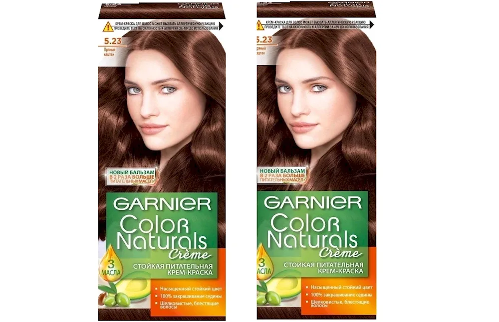 Garnier Spicy Chestnut