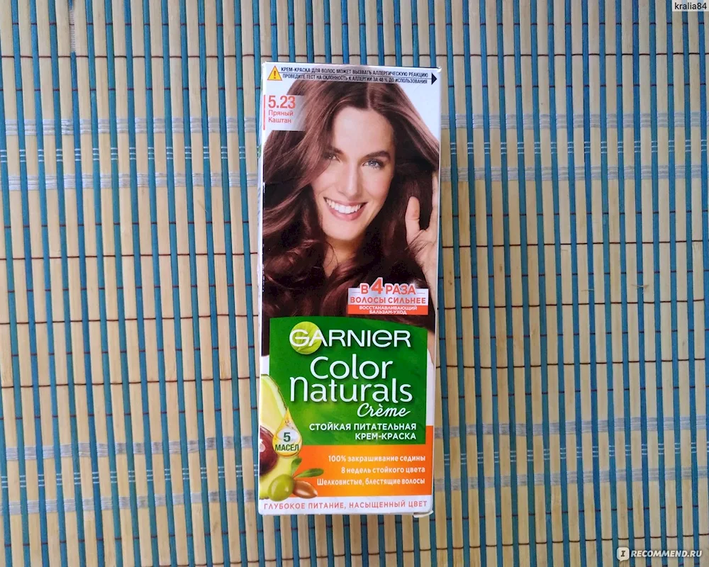 Garnier Spicy Chestnut