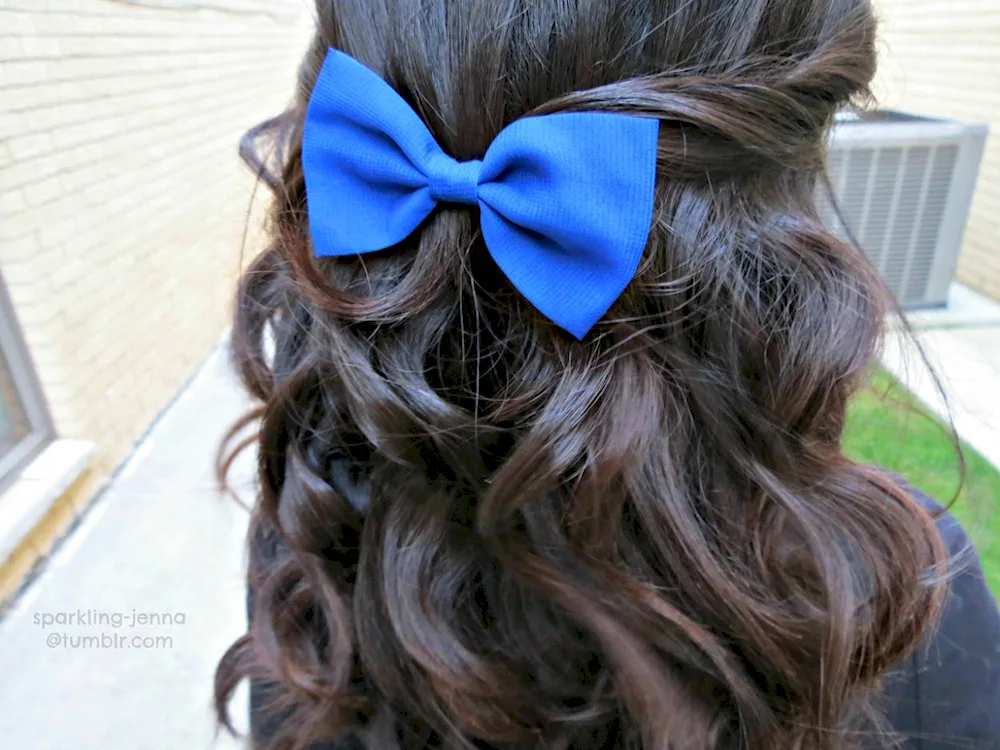 Bantha hairpin for long hair