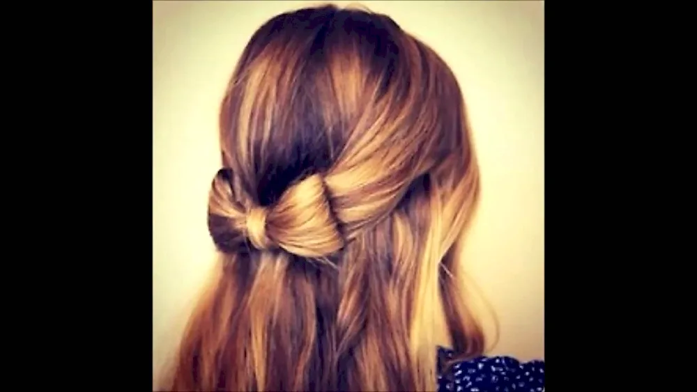Bows of hair with braid