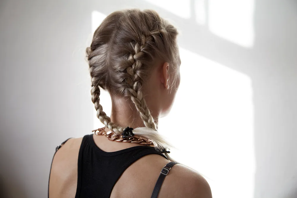 Two braids hairstyle for school long hair