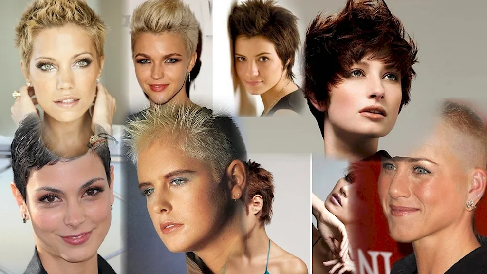Hedgehog hairstyle for women