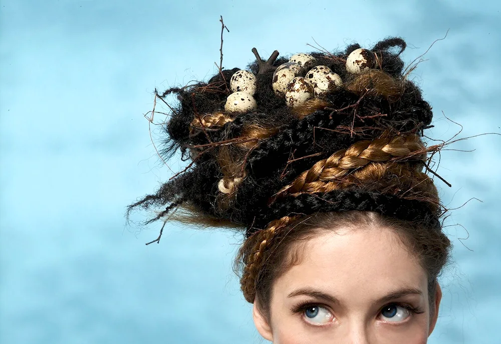 Haircut Nest