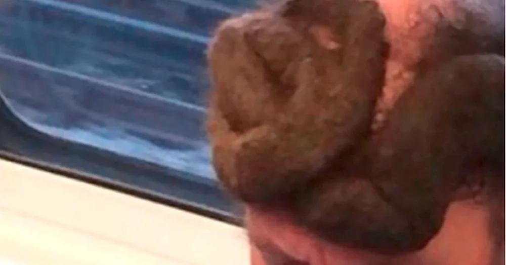 Shit head hairstyles