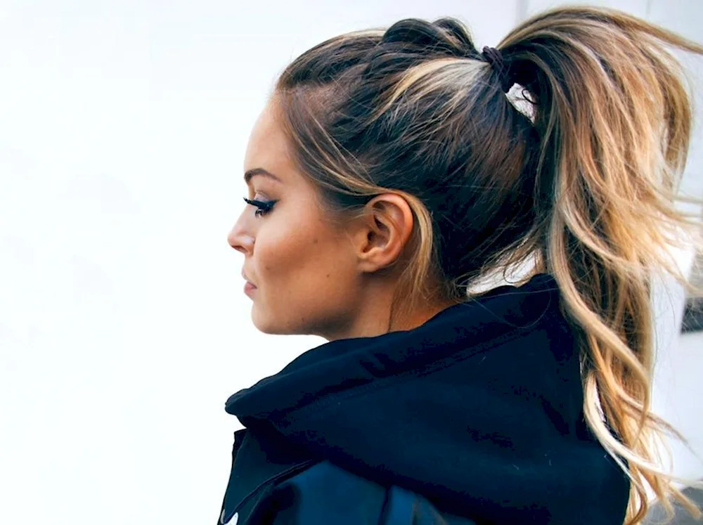 Ponytail hairstyle