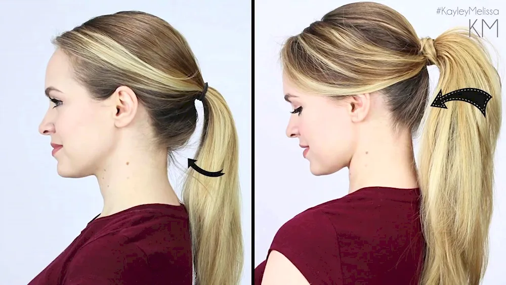 Ponytail hairstyle