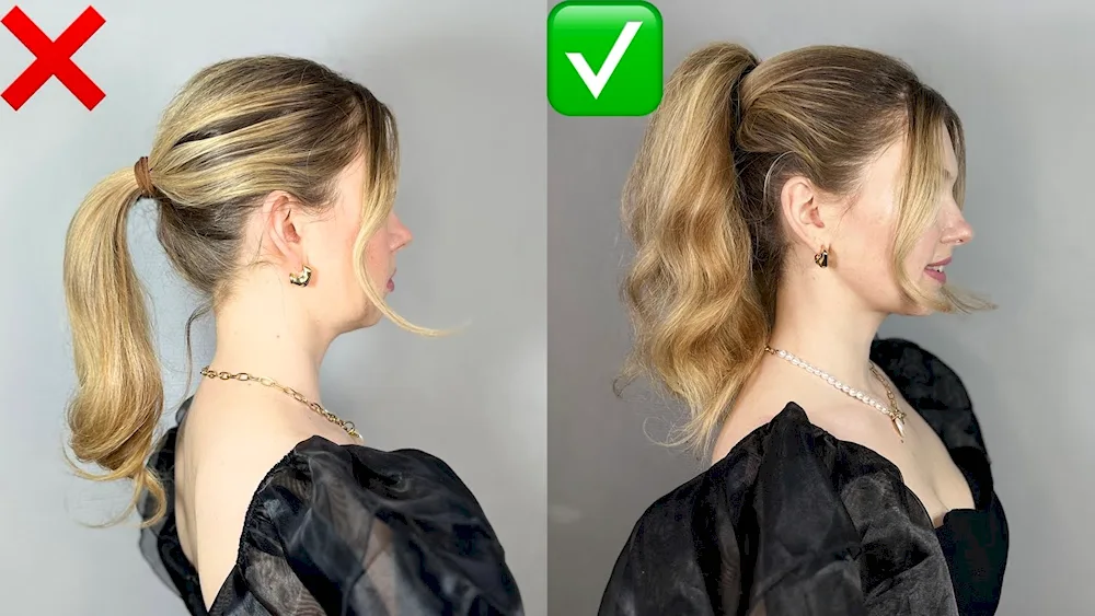 Ponytail hairstyle