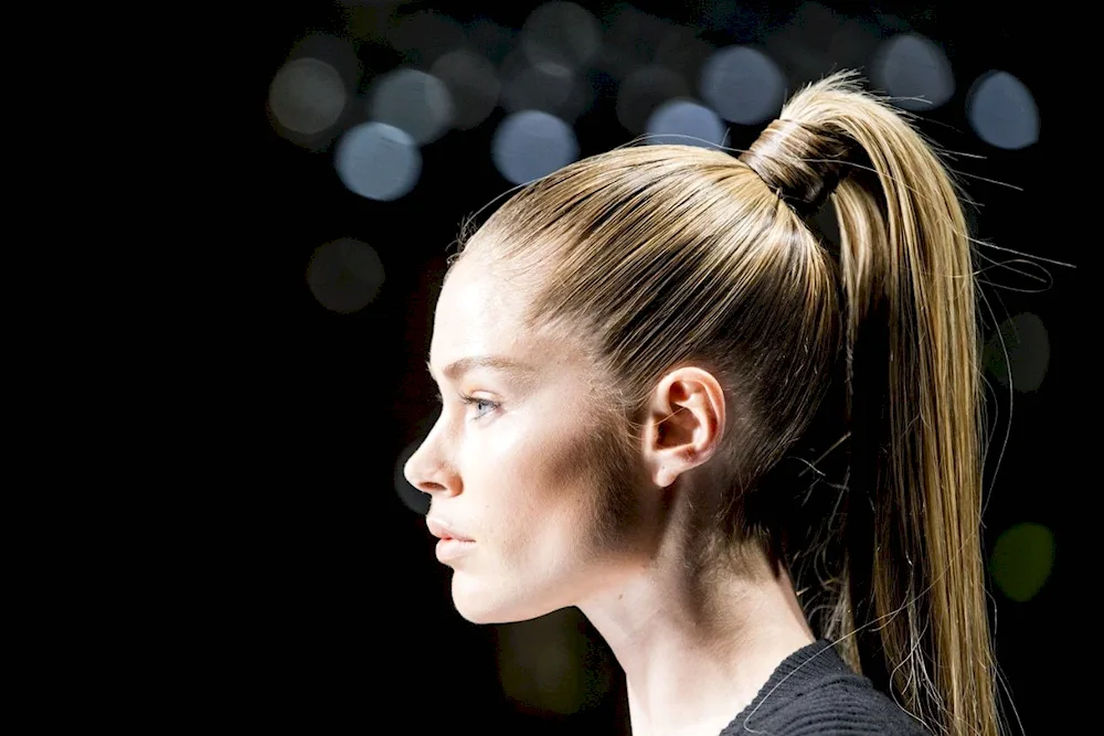 Girl's hairstyle from behind