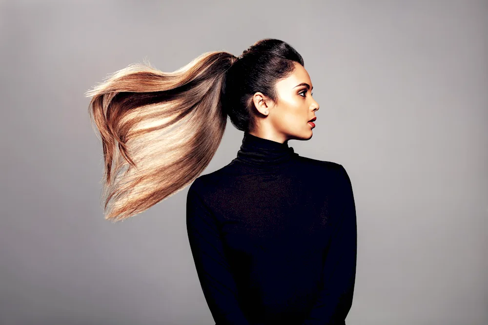 Ponytail hairstyle