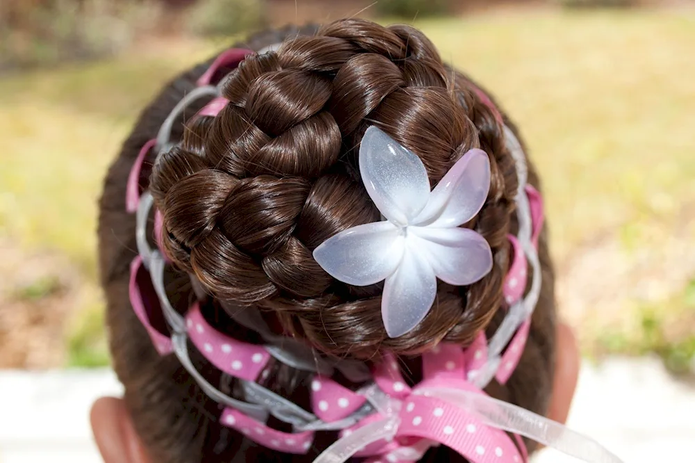 Basket hairstyle