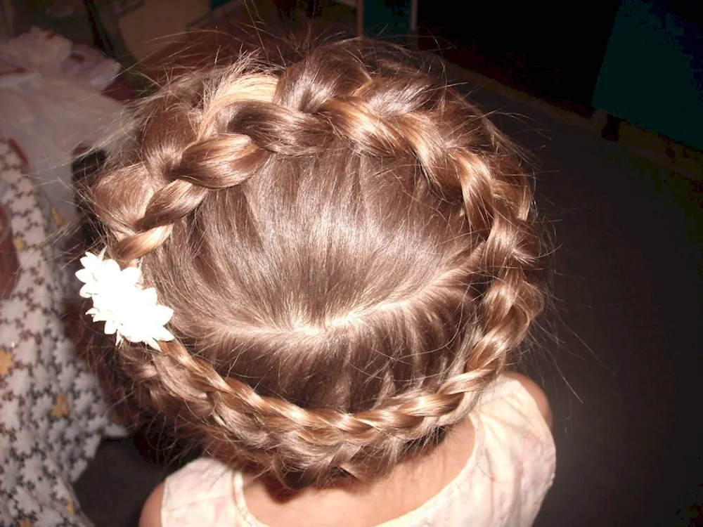 Children's basket hairstyles