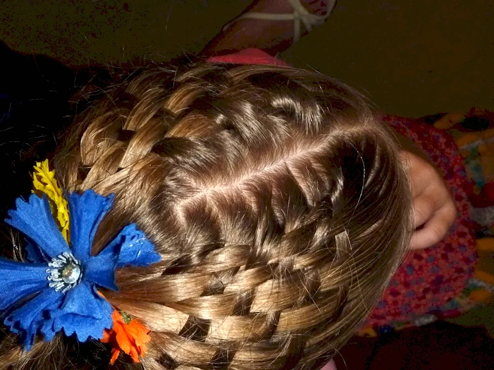 Basket Hairstyles of braids