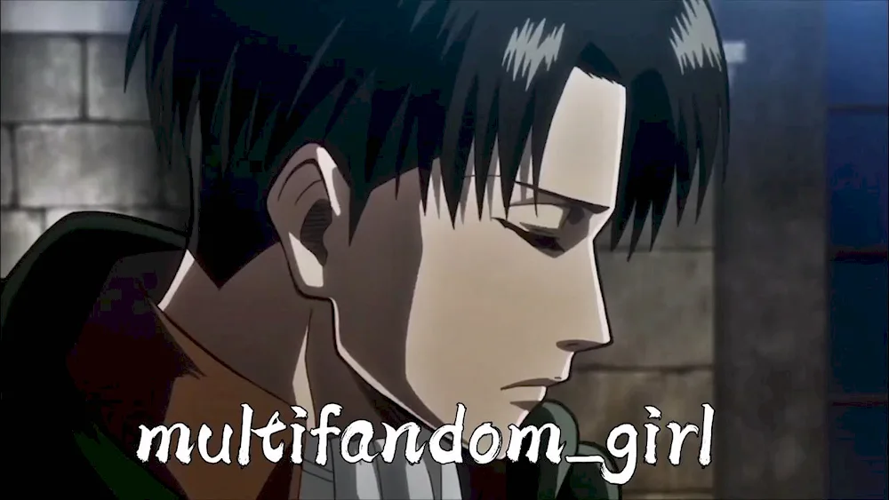 Levy Ackerman's haircut