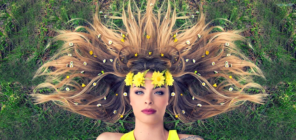 Hair under palm tree