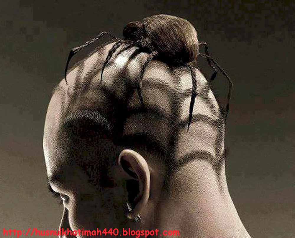 Spider hairstyles