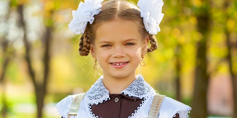 Girl's hairstyle for first grade