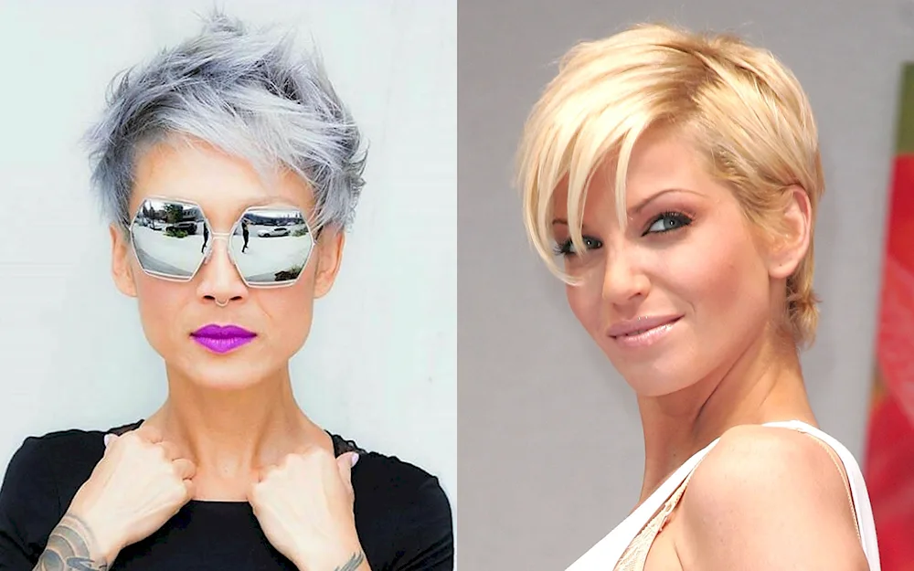 Pixie Garson Pixie Bob