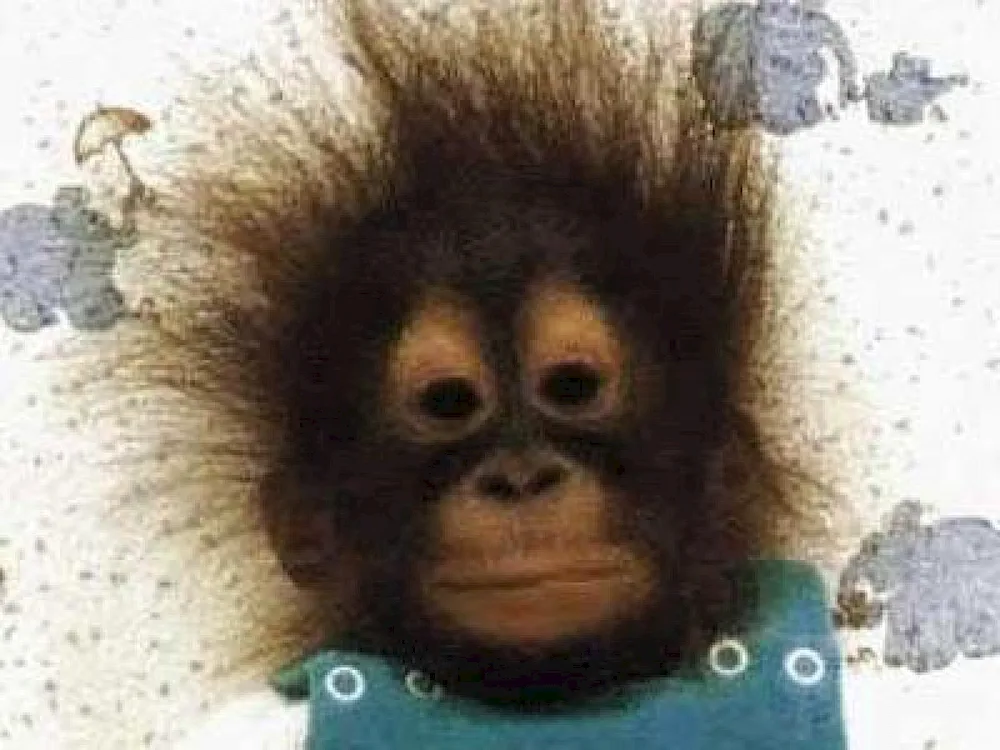 Hair after electrocution