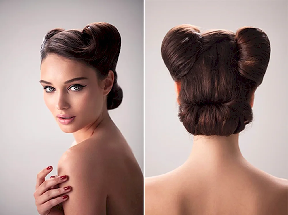 Evening hairstyle Shell