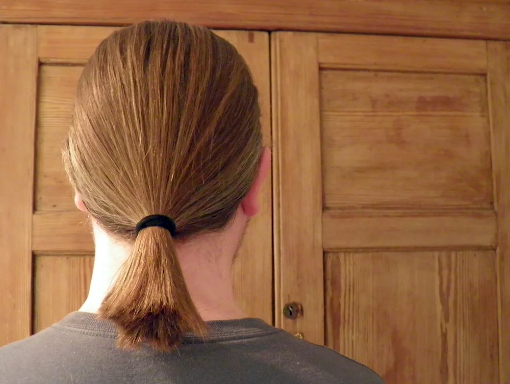 Ponytail hairstyle