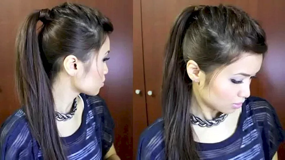 Braid and ponytail hairstyle