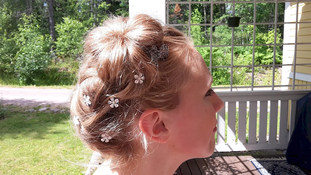 Crab hairstyle for girl