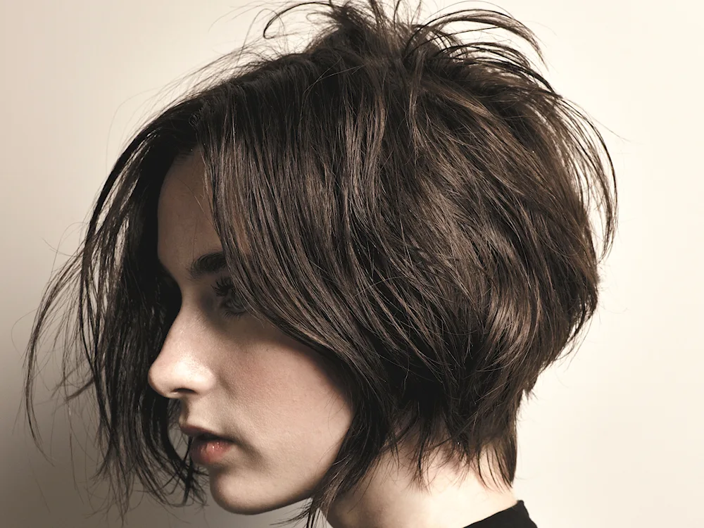Tomboy Bob