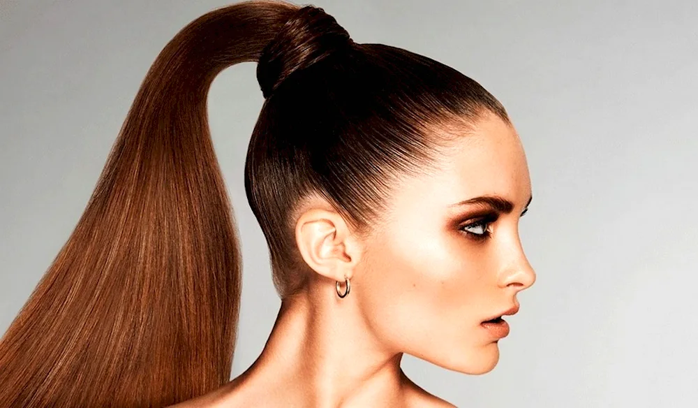 Ponytail hairstyle