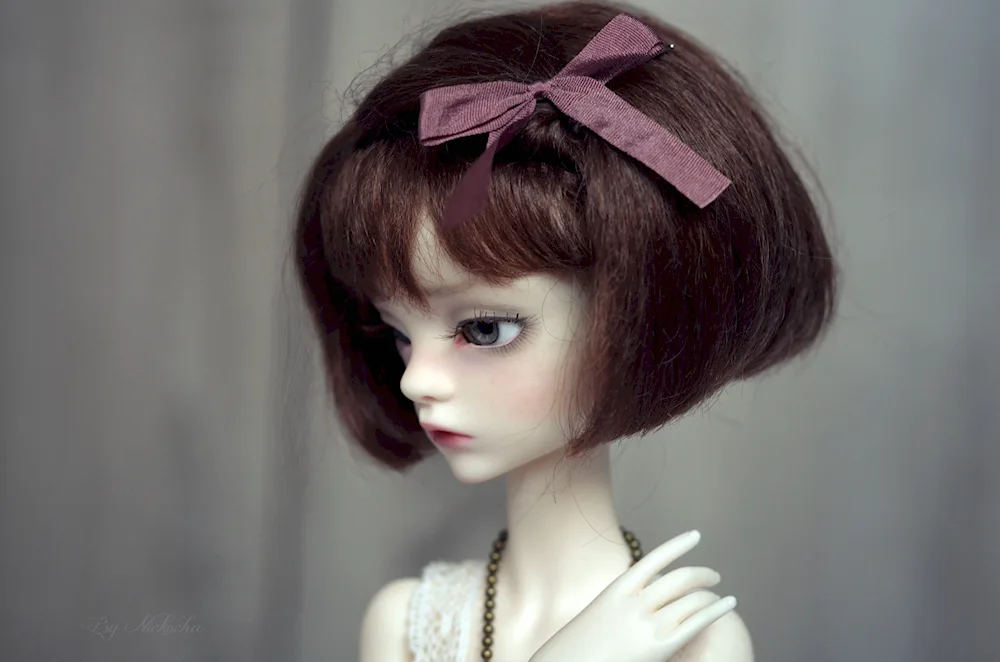 Barbie Doll Hairstyles for Dolls