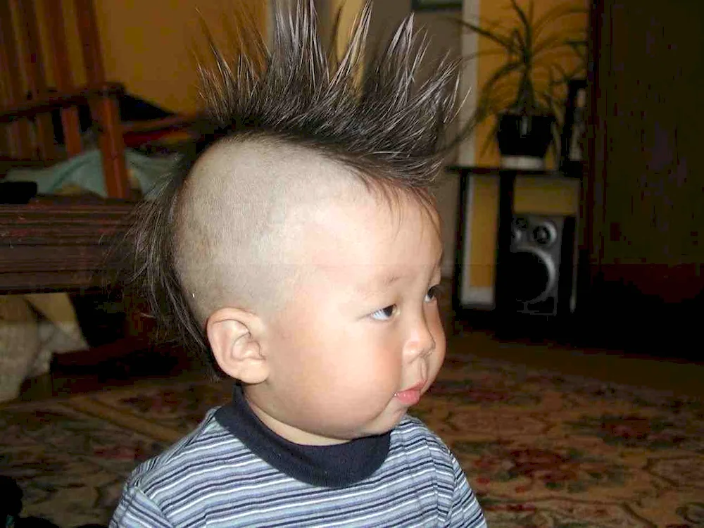 Hairy hairstyles