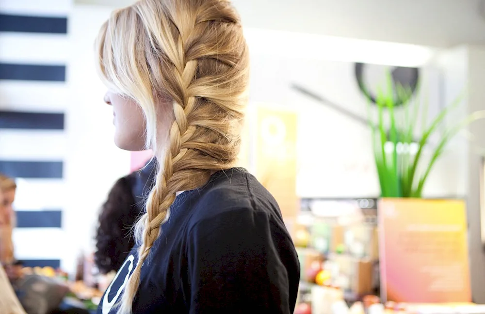 Braids hairstyles for long hair