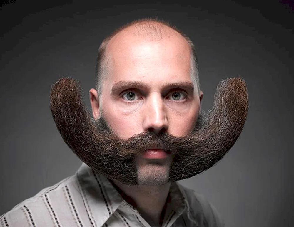 Beard hairstyles