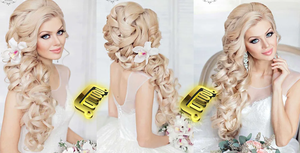 Ponytail hairstyles