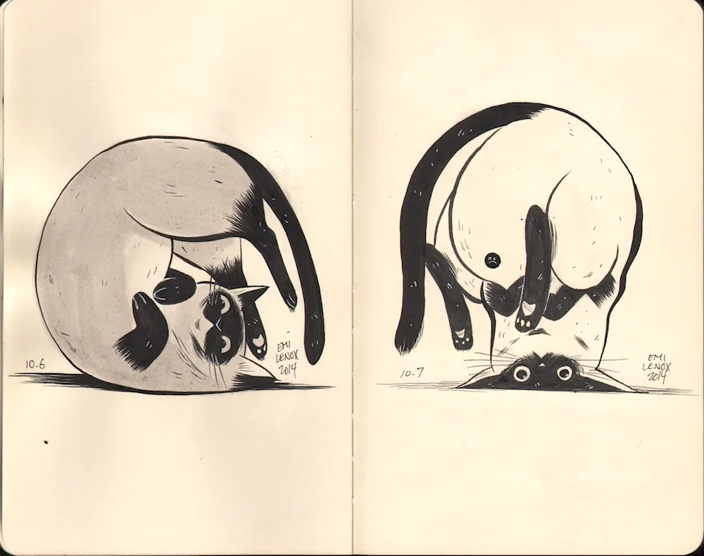 Ideas for drawings