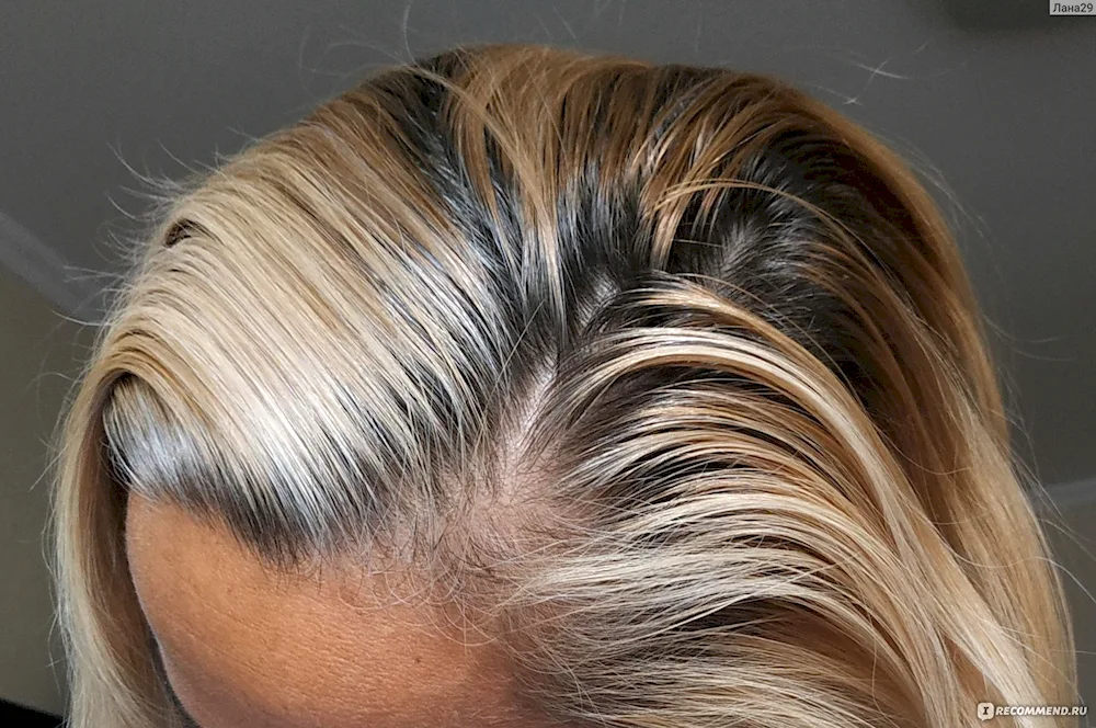 Saturated blonde with darkened roots roots