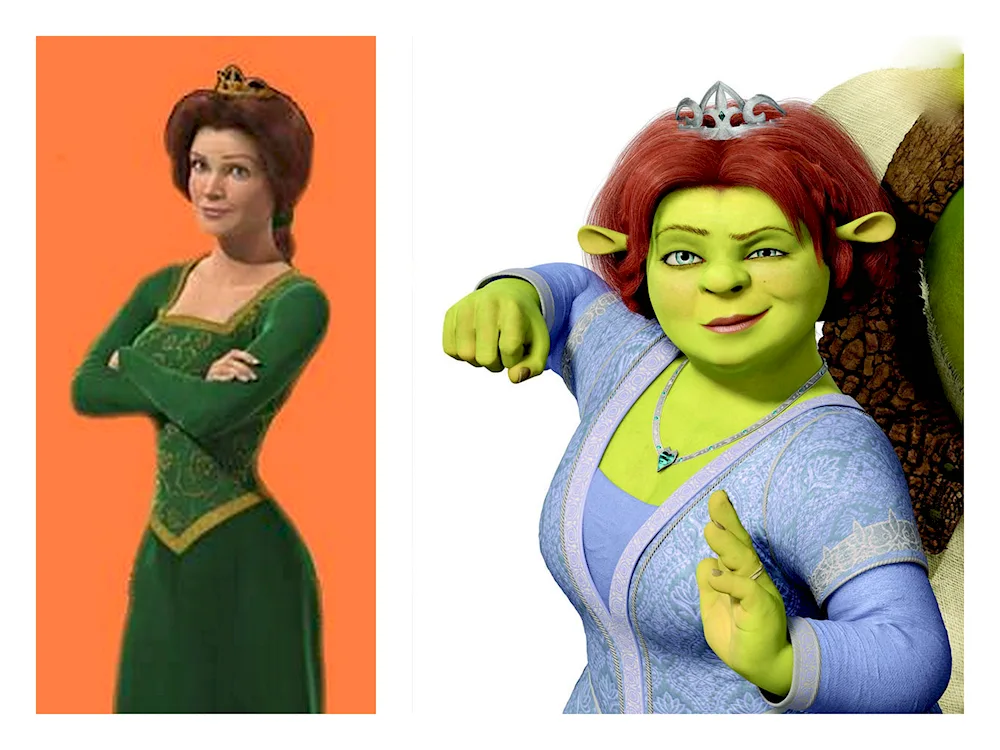 Princess Fiona from Shrek