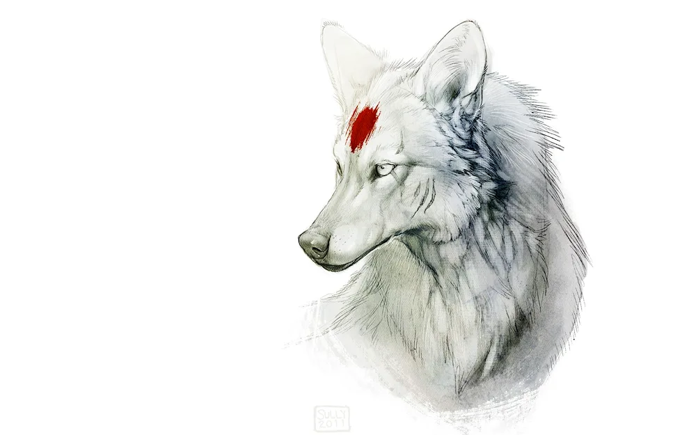 Wolf pictures for drawing