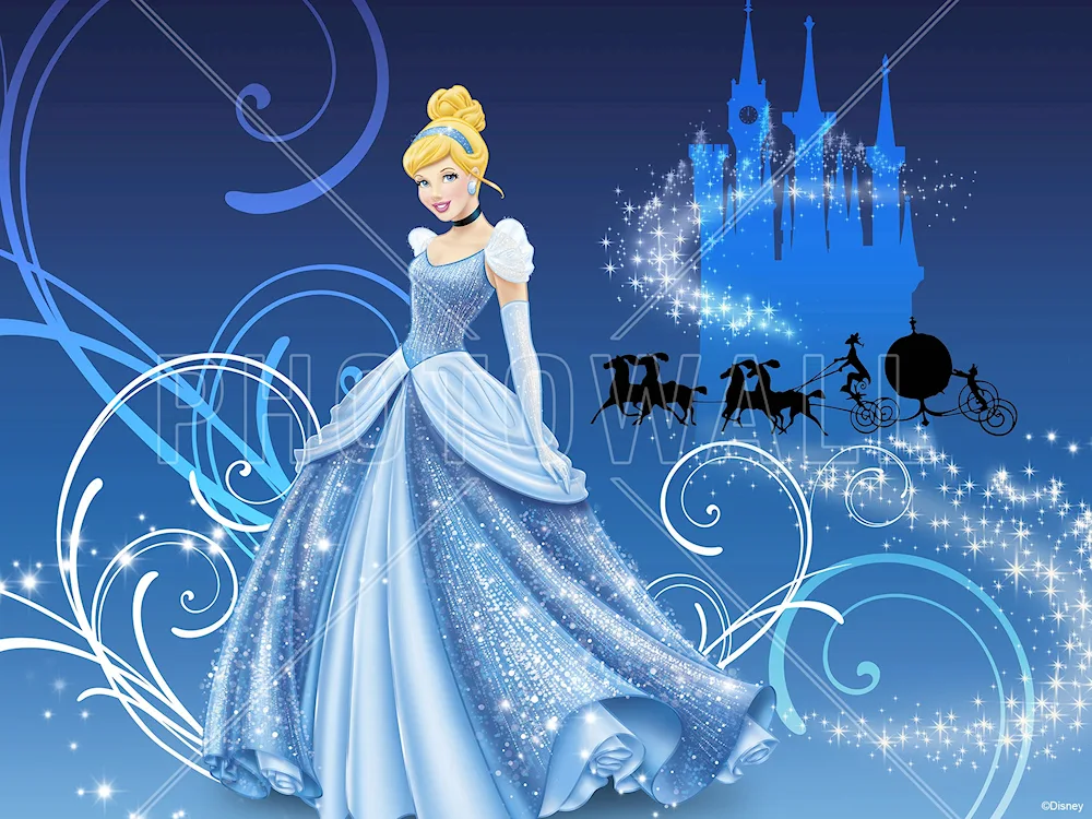 Disney Princess Kinderella Castle