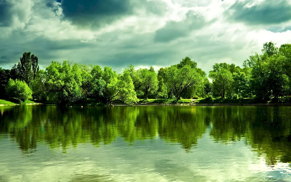 Nature lake lake lake forest