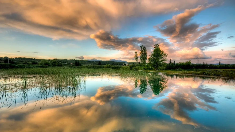 Sweden Alpine Meadows