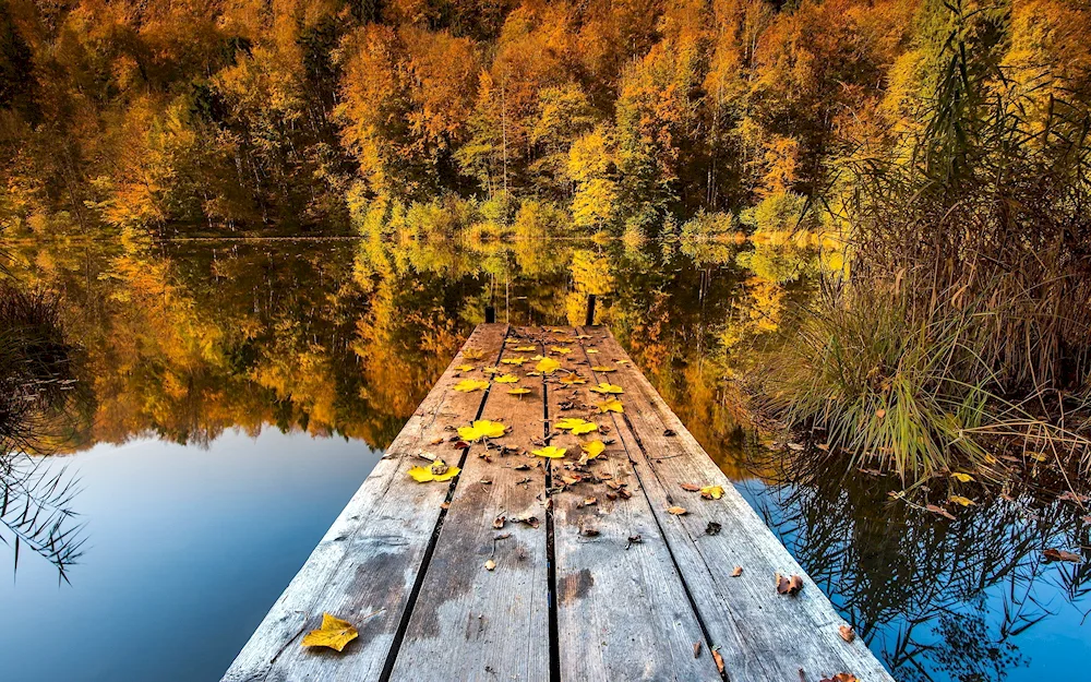 Autumn road Background