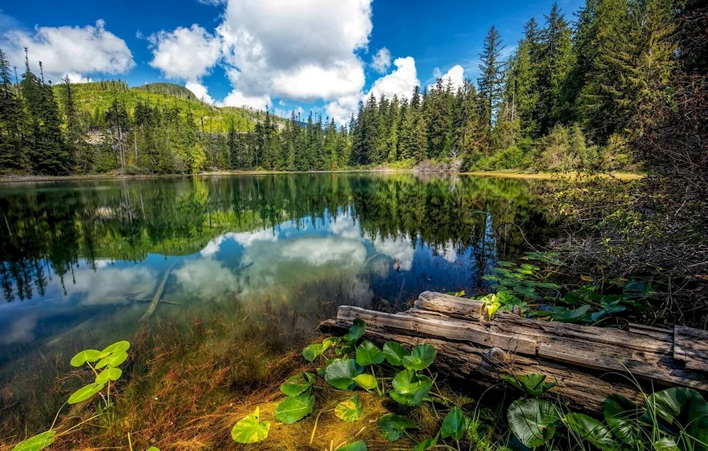 South Black Forest Lake Black Forest Lake