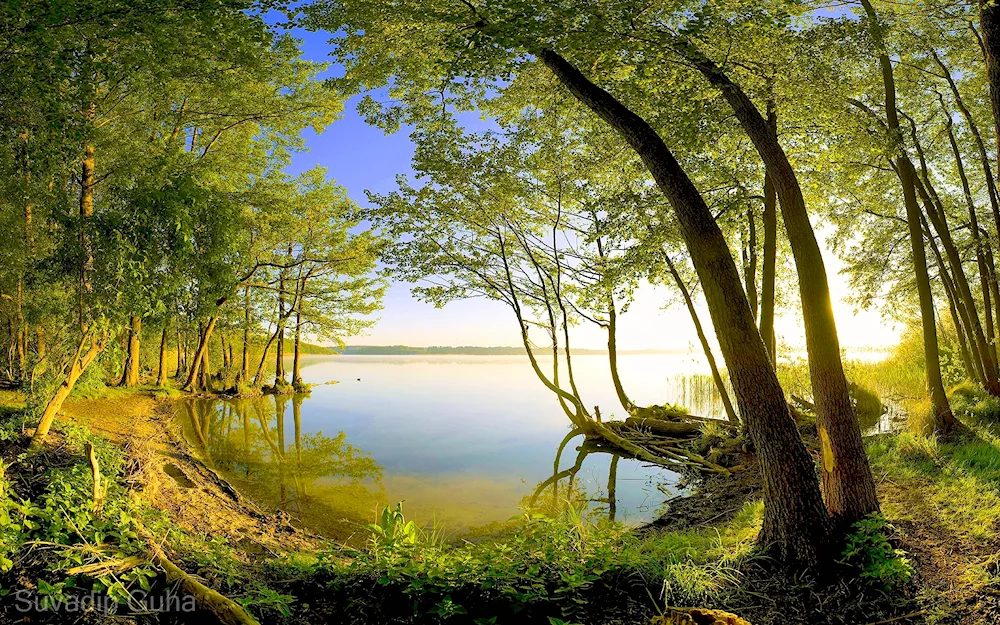 Schwarzwald Lake