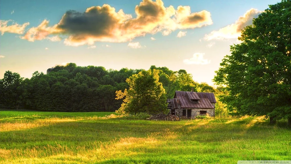 Village nature