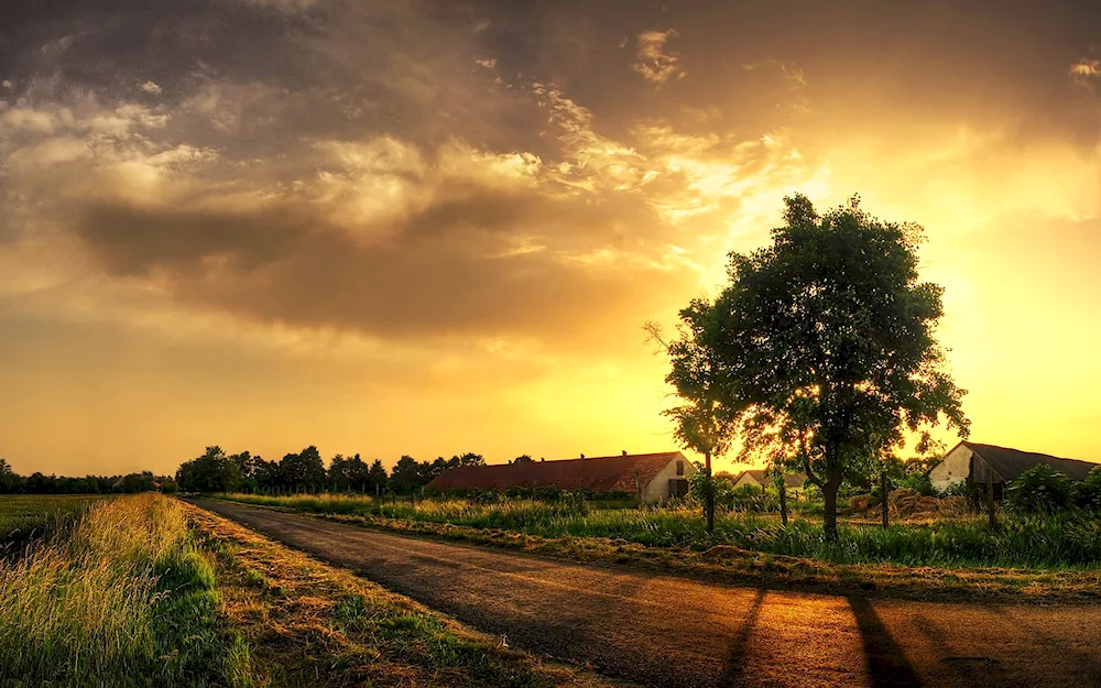 Village nature