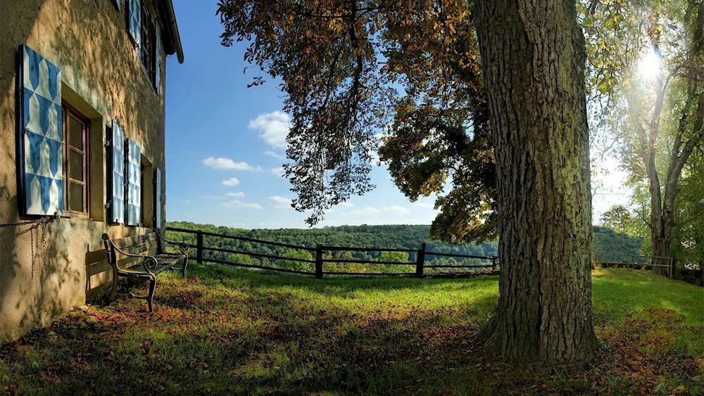 Beautiful garden view