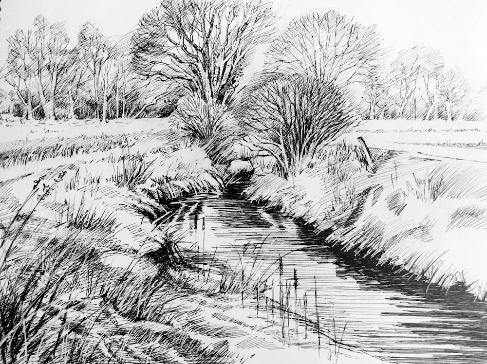 Nature pencil