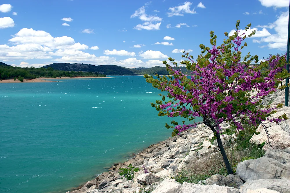 Crimean nature in spring