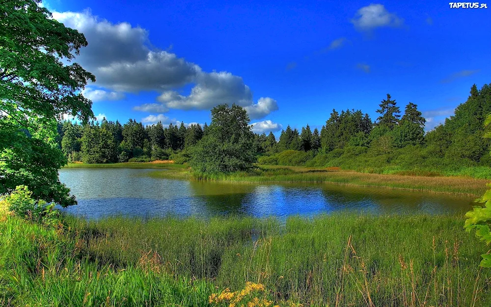 Fairytale Lake