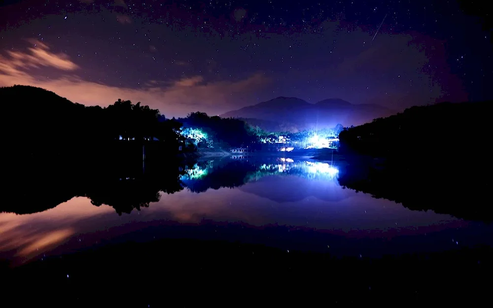 Nature at night